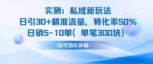 实测私域新玩法日引30加精准流量转化率50%日销5-10单每笔3张-虚拟资源库