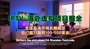 【海外虚拟项目掘金】日入100-200美刀,自己在家就可以闷声发大财,长期可做,工作室可复制扩大【揭秘】-虚拟资源库