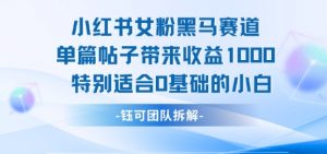 小红书女粉黑马赛道单篇帖子带来收益1k+，特别适合0基础的小白-虚拟资源库