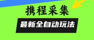 携程信息采集全自动玩法,0风控,无脑开干【揭秘】-虚拟资源库