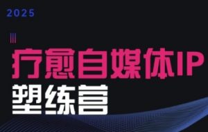 2025治愈自媒体IP训练营，专为疗愈领域从业者打造-虚拟资源库