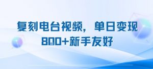 复刻电台视频，单日变现8张+新手友好，长期可做-虚拟资源库