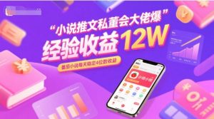 小说推文私董会大佬爆单经验分享收益12W,番茄小说每天稳定4位数收益-虚拟资源库