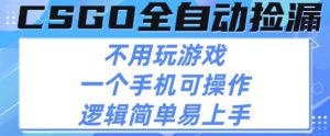 CSGO自动捡漏项目,最新独家玩法,不用挂G不用玩游戏,一个手机即可操作,新手小白轻松月入1W+【揭秘】-虚拟资源库