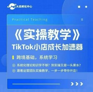 大卖家孵化中心TikTok实操课，TikTok小店成长加速器，跨境基础系统学习，一步一步带你开店-虚拟资源库