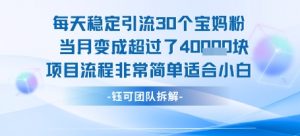 每天稳定引流30个人 当月变成超过了4个W项目流程非常简单适合小白-虚拟资源库