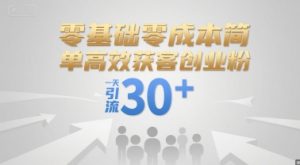 零基础零成本简单高效获客创业粉,一天引流30+-虚拟资源库