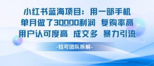小红书蓝海项目,一部手机单月做了3W利润,小白也能月入过1W用户认可度高成交多-虚拟资源库