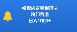 情趣内衣暴利玩法,冷门赛道,日入1k+-虚拟资源库
