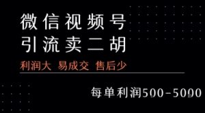 视频号卖二胡教程，利润大 易成交 售后少，一单利润5张+-虚拟资源库