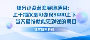 小众蓝海赛道项目:当天变现1k+适合新手操作 +适合长期玩-虚拟资源库