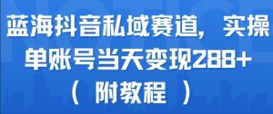 蓝海抖音私域赛道，实操单账号当天变现288+(附教程)-虚拟资源库