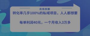 转化率最高的私域项目，每单利润40-50米，月入过1w-虚拟资源库