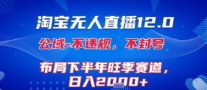淘宝无人直播12.0,不封号,不违规,布局下半年旺季赛道,日入1k+(独家技术)【揭秘】-虚拟资源库