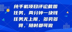 纯手机项目评论截图任务,两分钟一块钱 任务无上限多劳多得,随时随地都能做【揭秘】-虚拟资源库
