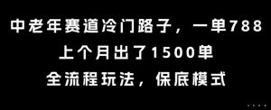 中老年赛道冷门路子，一单788，上个月出了1500单，全流程玩法，保底模式【揭秘】-虚拟资源库