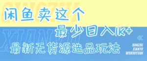闲鱼卖这个，最少日入1k，最新无货源选品玩法-虚拟资源库