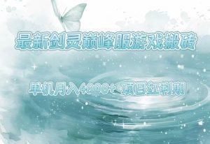 最新剑灵巅峰服游戏搬砖,项目红利期,单机稳定月入4k+操作简单好上手【揭秘】-虚拟资源库