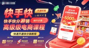 快手快分销高级电商课程,快速开通快分销教程-虚拟资源库