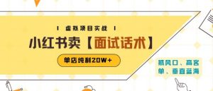 小红书虚拟项目掘金,卖面试话术资料,单店纯利20W+(附爆款笔记制作方法)-虚拟资源库