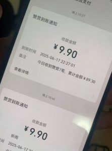 二次元男粉快速变现项目,私域卖虚拟产品,百分利润-虚拟资源库