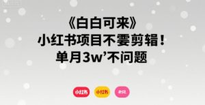 小白可来 小红书项目不需要剪辑 单月3w不是问题-虚拟资源库