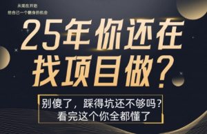 25年,你还在疯狂的找项目吗?别傻了,看完这个你都懂了【揭秘】-虚拟资源库
