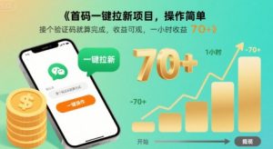 首码一键拉新项目,操作简单,接个验证码就算完成,收益可观, 一小时收益70+【揭秘】-虚拟资源库