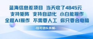 蓝海信息差项目当天收米1k+ 支持矩阵支持自动化小白能操作全程AI操作不需要人工你只要会电脑-虚拟资源库