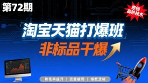 淘宝天猫打爆班原创高阶技术第72期,非标品干爆-虚拟资源库