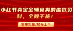 小红书卖宝宝辅食类的虚拟资料，从引流到私域变现，全程干货，简单粗暴，轻松上手-虚拟资源库