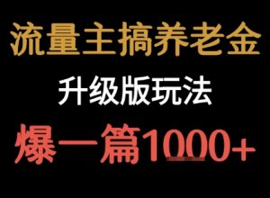 流量主之养老金升级版玩法 爆一篇收益1k+-虚拟资源库