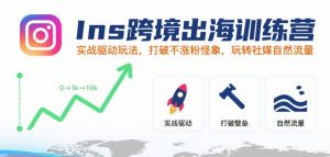 Ins跨境出海训练营,实战驱动玩法,打破不涨粉怪象,玩转社媒自然流量-虚拟资源库