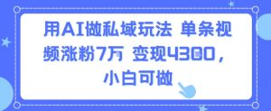 用AI做私域玩法,单条视频涨粉7W变现4.3k,小白可做-虚拟资源库