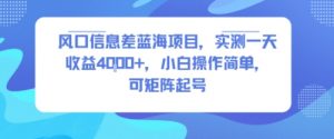 风口信息差蓝海项目，实测一天收益4k+，小白操作简单，可矩阵起号-虚拟资源库