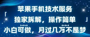 苹果手机技术服务,独家拆解,操作简单,小白可做,月过1W不是梦-虚拟资源库