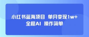 小红书蓝海项目 单月变现1w+ 全程AI 操作简单-虚拟资源库
