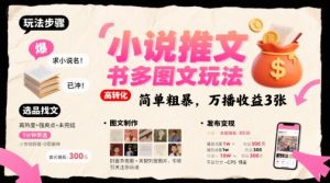 小说推文小红书多图文玩法,简单粗暴,万播收益3张-虚拟资源库