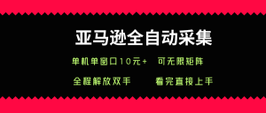 亚马逊全自动采集,单机单窗口一天10+,可无限矩阵去做【揭秘】-虚拟资源库