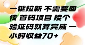 一键拉新 不需要回传 首码项目 接个验证码就算完成 一小时收益70+【揭秘】-虚拟资源库