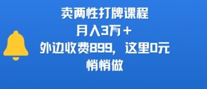 卖两性打牌课程，月入3W+外边收费899的课程，这里0元，悄悄做-虚拟资源库