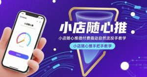 小店随心推微付费撬动自然流投手教学,小店随心推手把手教学-虚拟资源库
