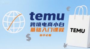temu跨境电商小白基础入门课程,新手必看-虚拟资源库