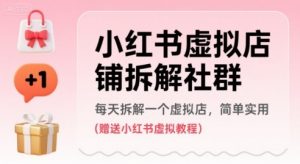 小红书虚拟店铺拆解社群,每天拆解一个虚拟店,简单实用(赠送小红书虚拟教程)-虚拟资源库