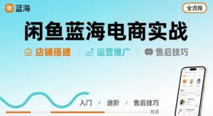 闲鱼蓝海电商实战，店铺搭建运营售后全流程-虚拟资源库
