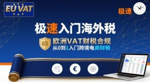 极速入门海外税,欧洲VAT财税合规,从0到1入门跨境电商财税-虚拟资源库