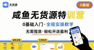 无货源特训营，0基础带你玩转咸鱼无货源-虚拟资源库