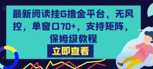最新阅读挂G撸金平台，无风控，单窗口70+，支持矩阵，保姆级教程【揭秘】-虚拟资源库