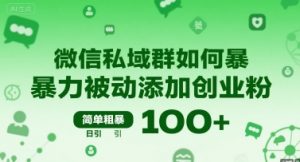 微信私域群如何暴力被动添加创业粉，简单粗暴，日引100+-虚拟资源库