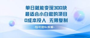 单日就能变现3张最适合小白做的项目0成本投入 无限复制-虚拟资源库